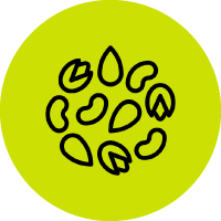 Chás