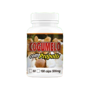 Cogumelo com Própolis