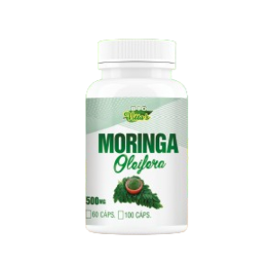 MORINGA OLEIFERA