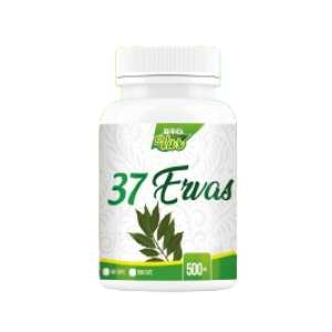37 Ervas